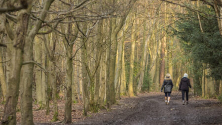 The best hikes close to London