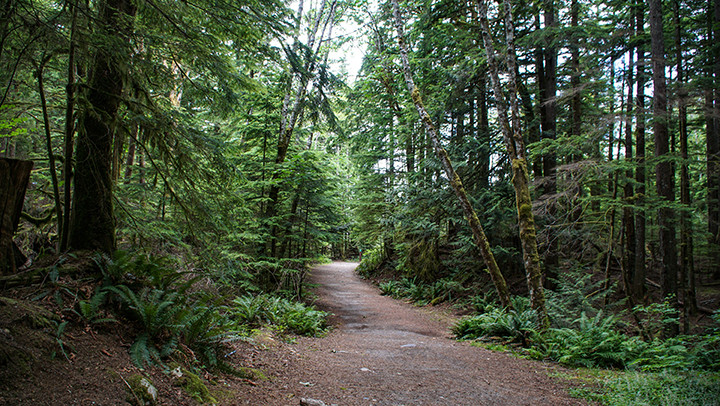 Hiking guide: The Stawamus Chief, Squamish