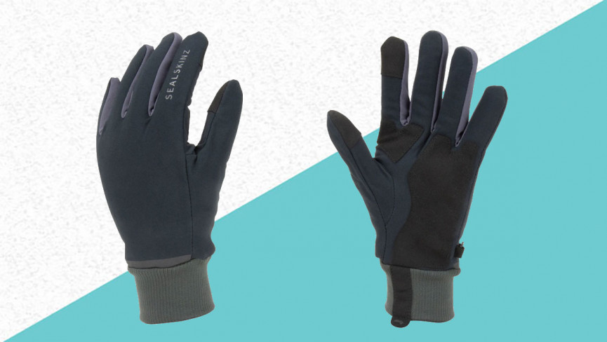 Sealskinz Waterproof All Weather Lightweight Glove With Fusion Control