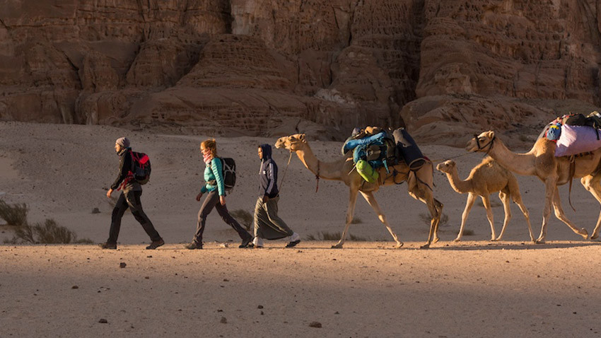 Monday Wanderlust: Walking with the Bedouin through the Sinai Peninsula